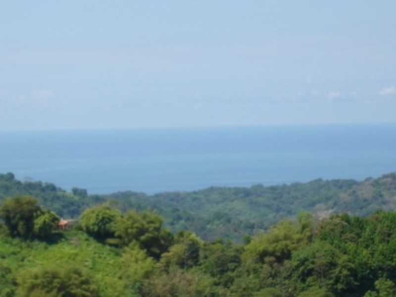 1 bed Single Family Homes For Sale in Dominical, Puntarenas - 1