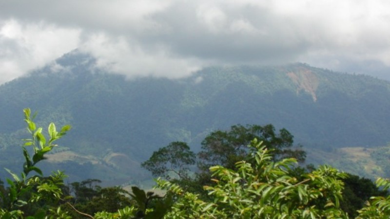1 bed Single Family Homes For Sale in Dominical, Puntarenas - thumb 19