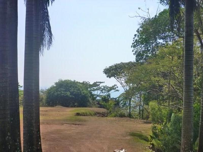 0 bed Land For Sale in Dominical, Puntarenas - 1