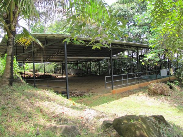 5 bed Single Family Homes For Sale in Dominical, Puntarenas - thumb 22