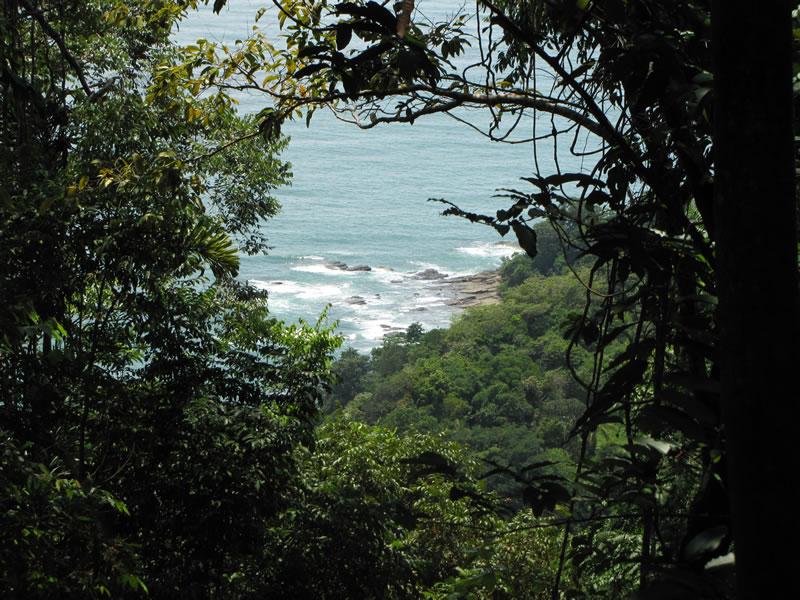 5 bed Single Family Homes For Sale in Dominical, Puntarenas - thumb 18
