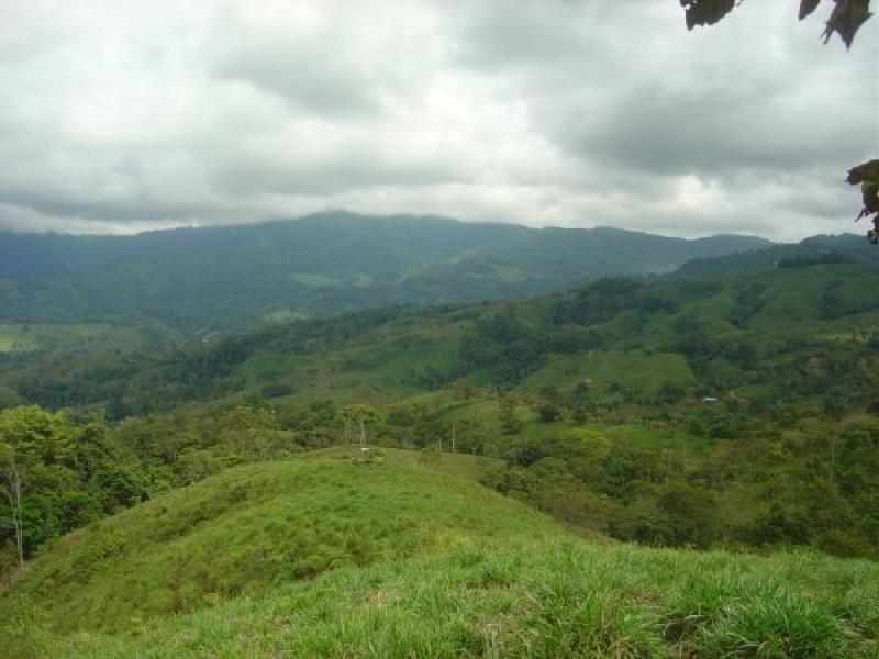 0 bed Land For Sale in Dominical, Puntarenas - 1