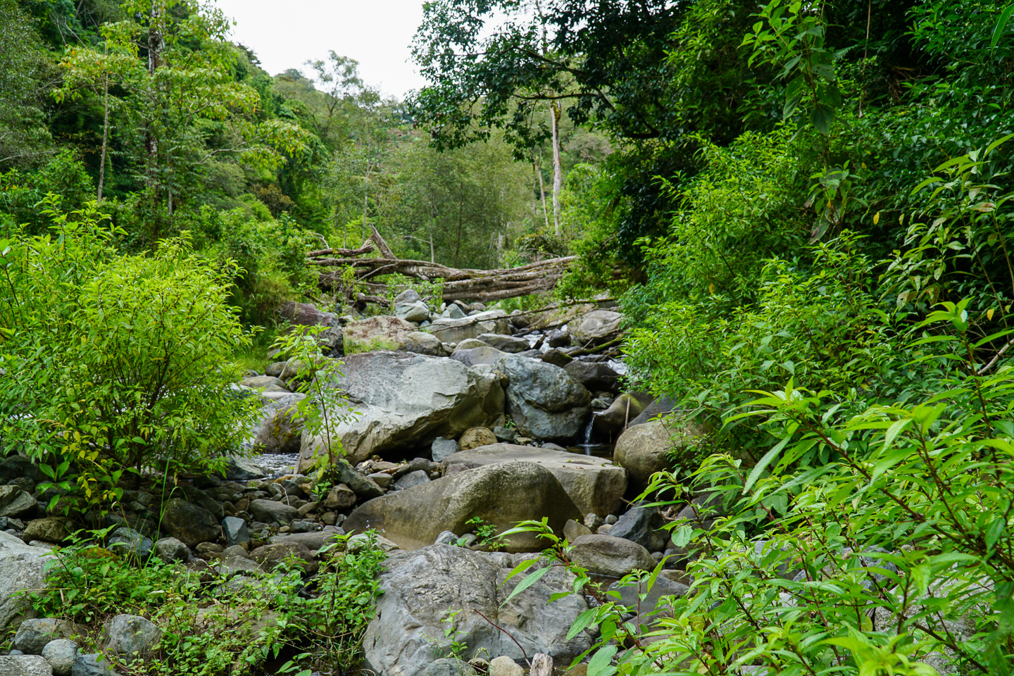 3 bed Single Family Homes For Sale in Perez Zeledon, Puntarenas - thumb 24
