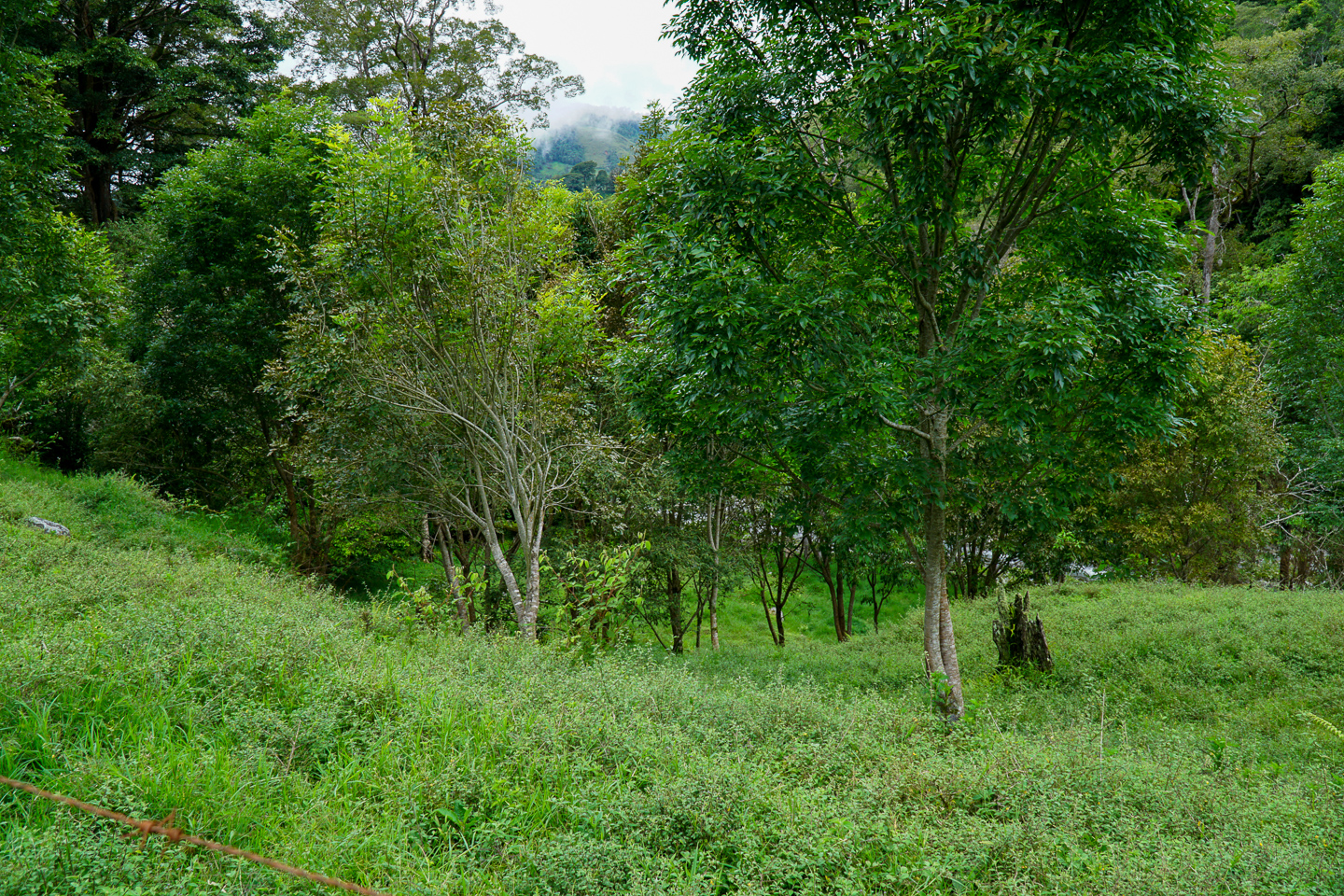 3 bed Single Family Homes For Sale in Perez Zeledon, Puntarenas - thumb 26