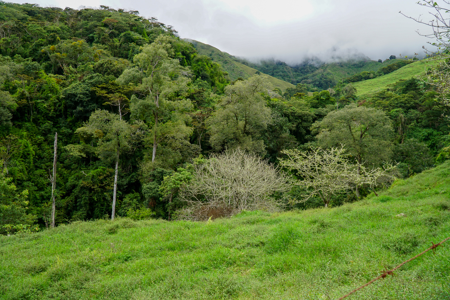 3 bed Single Family Homes For Sale in Perez Zeledon, Puntarenas - thumb 25