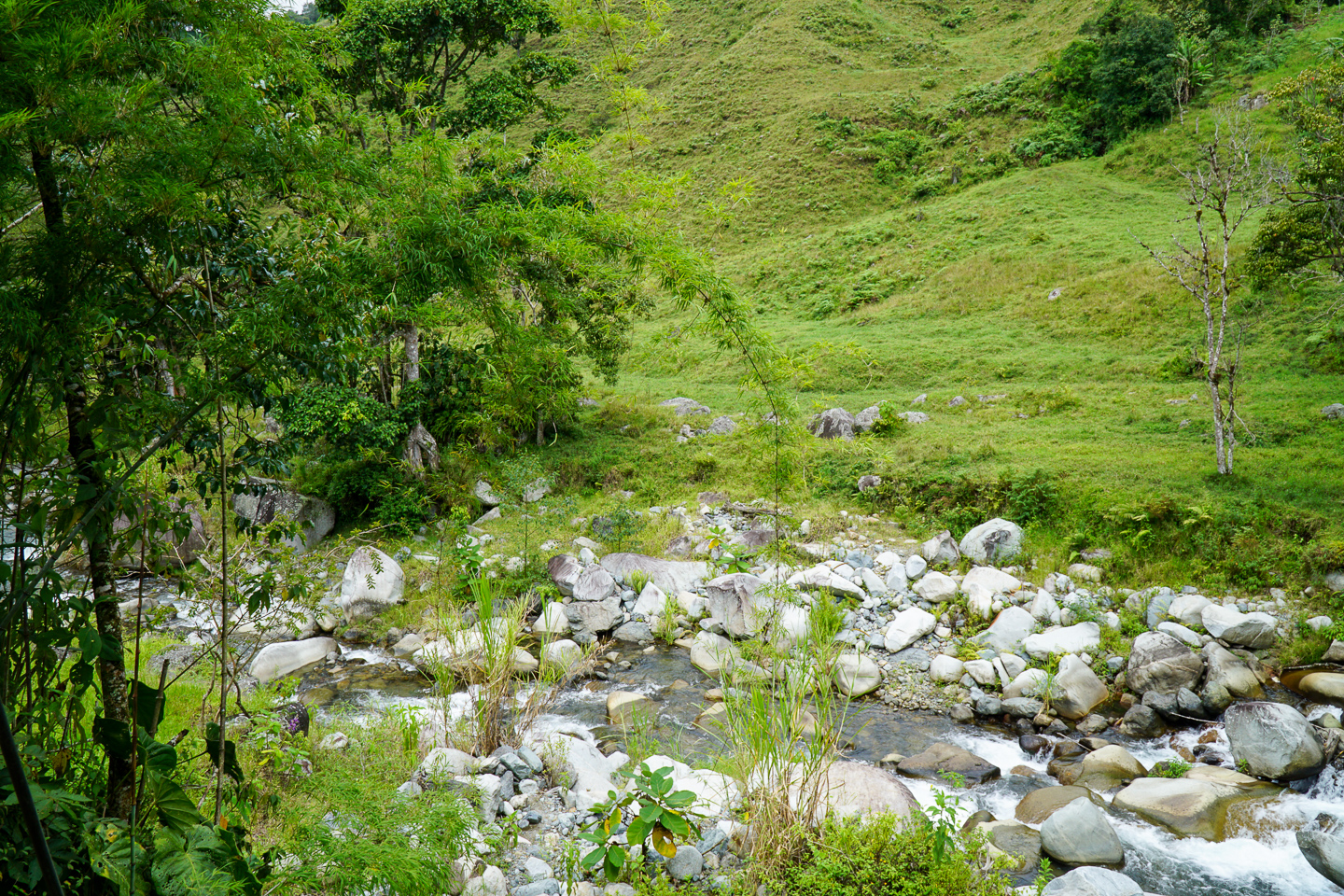 3 bed Single Family Homes For Sale in Perez Zeledon, Puntarenas - thumb 18