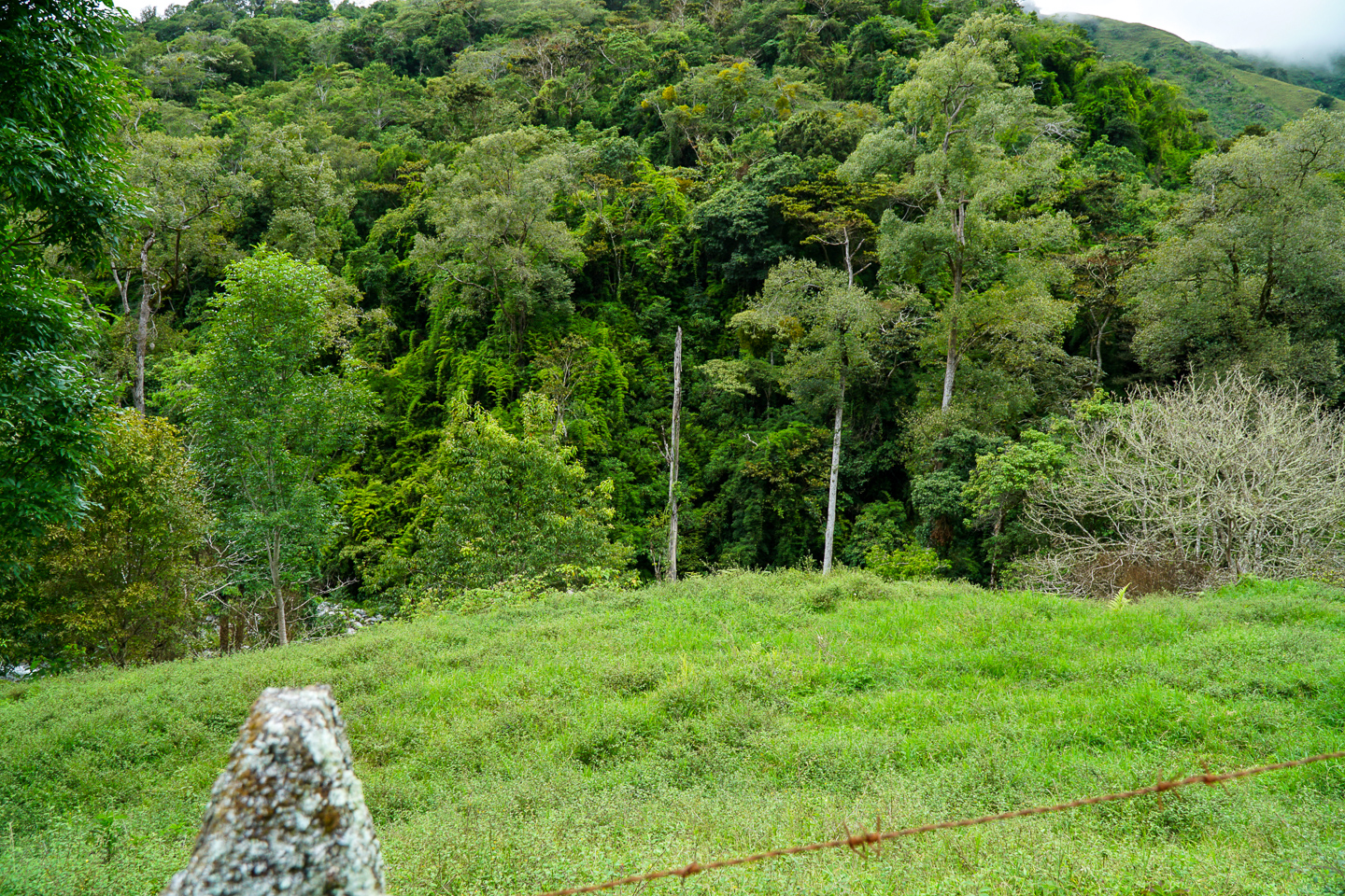 3 bed Single Family Homes For Sale in Perez Zeledon, Puntarenas - thumb 28