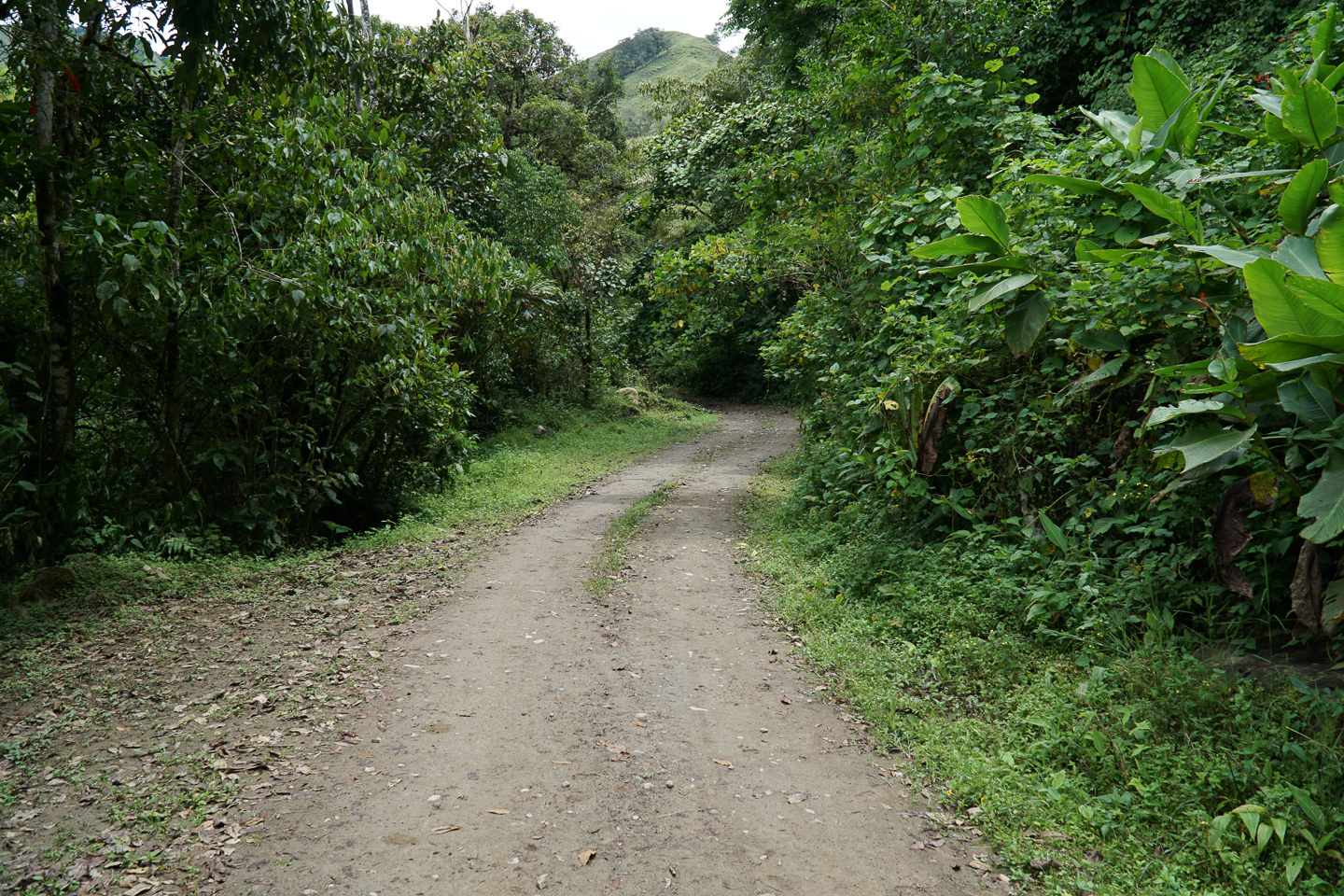 3 bed Single Family Homes For Sale in Perez Zeledon, Puntarenas - thumb 21