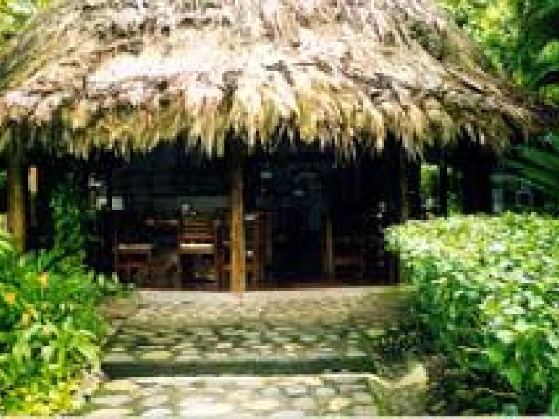 15 bed Hotel / Leisure For Sale in Manuel Antonio, Puntarenas - 1