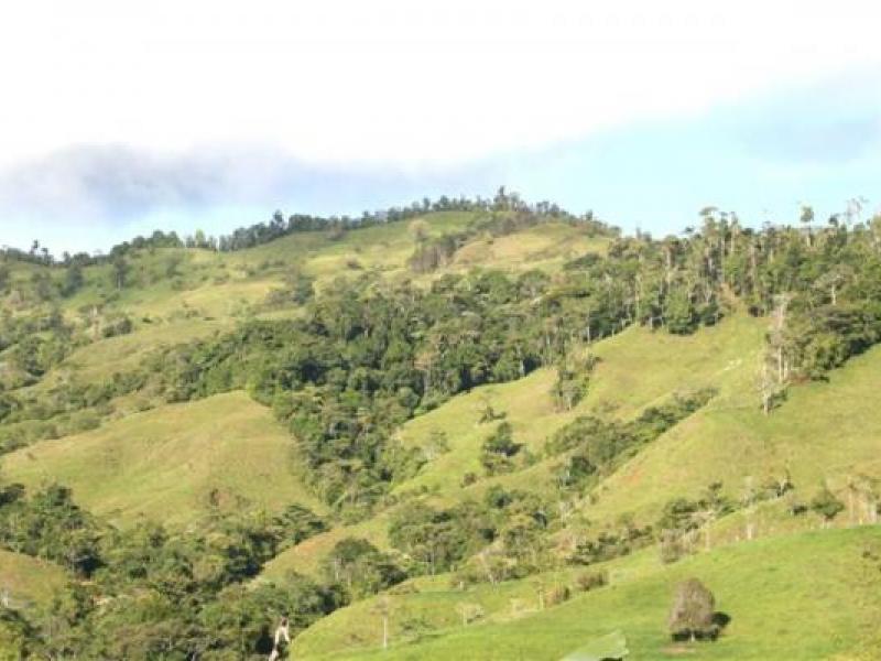 0 bed Land For Sale in Savegre, Puntarenas - 1