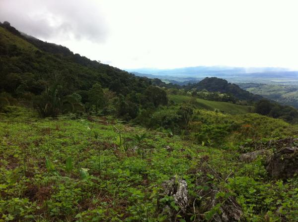 0 bed Land For Sale in Palmar, Puntarenas - thumb 5