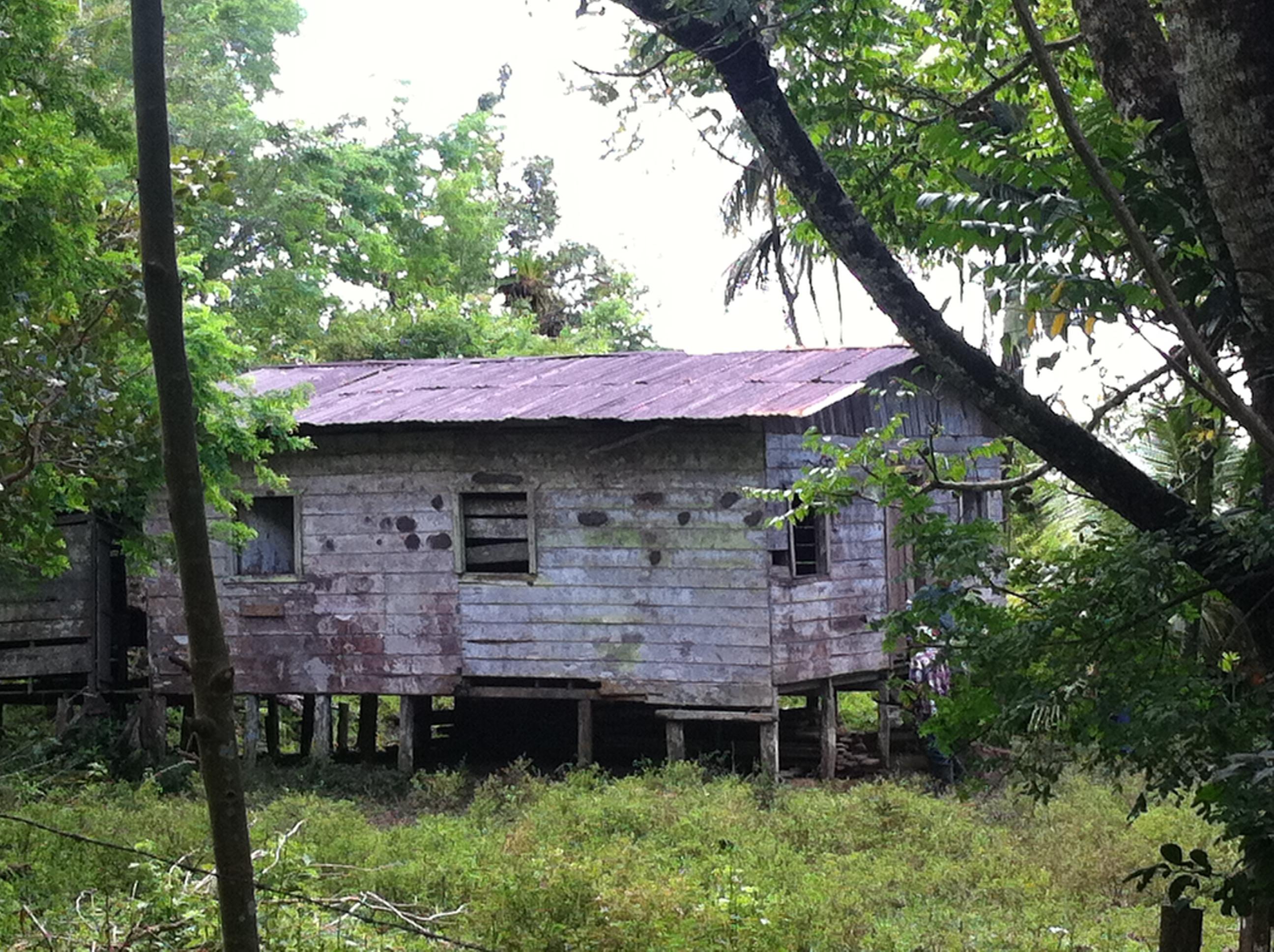 0 bed Land For Sale in Palmar, Puntarenas - thumb 6