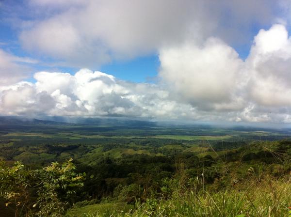 0 bed Land For Sale in Palmar, Puntarenas - thumb 1