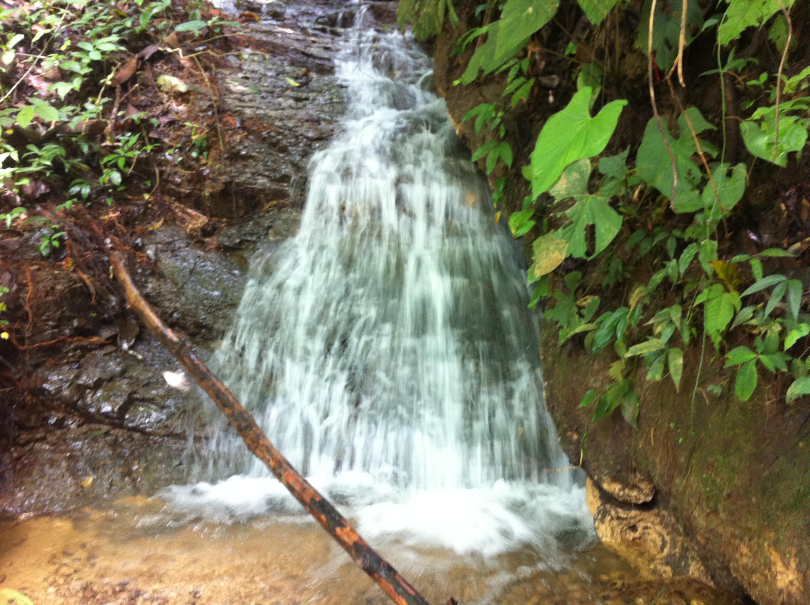 0 bed Land For Sale in Palmar, Puntarenas - thumb 4