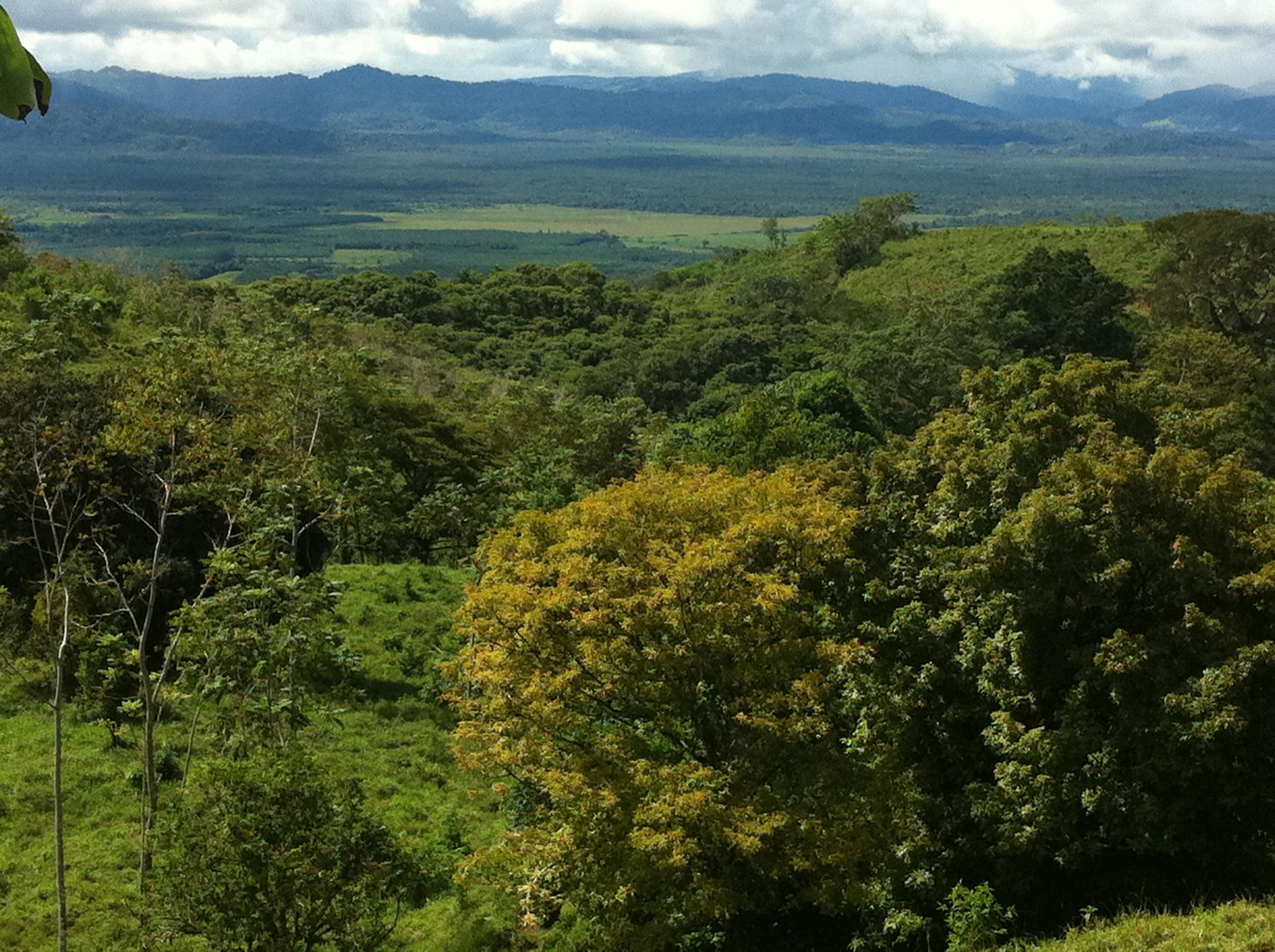 0 bed Land For Sale in Palmar, Puntarenas - thumb 3