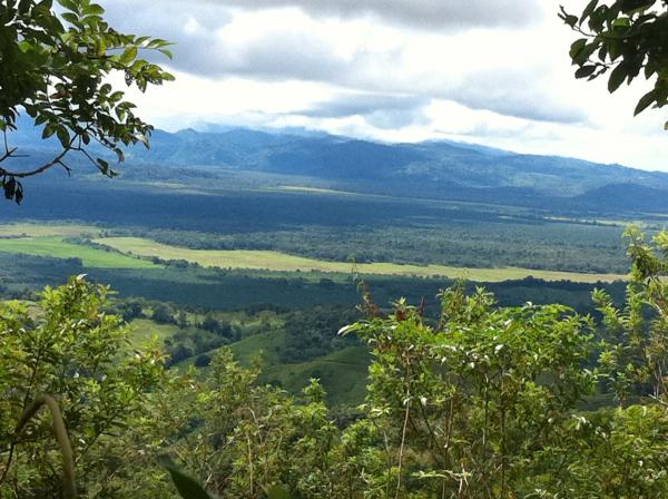 0 bed Land For Sale in Palmar, Puntarenas - thumb 8