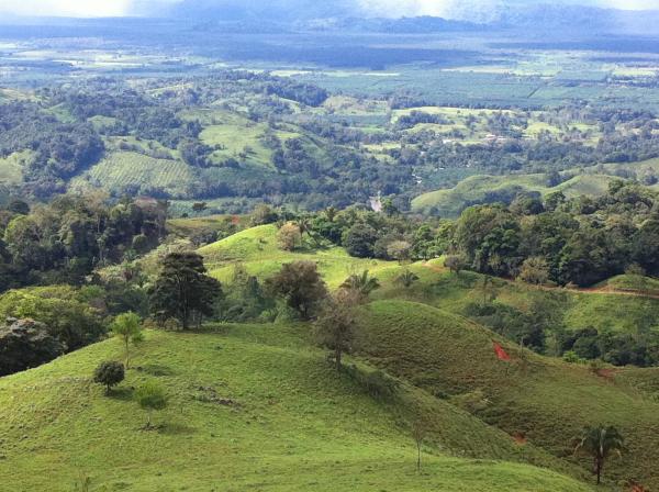 0 bed Land For Sale in Palmar, Puntarenas - thumb 9