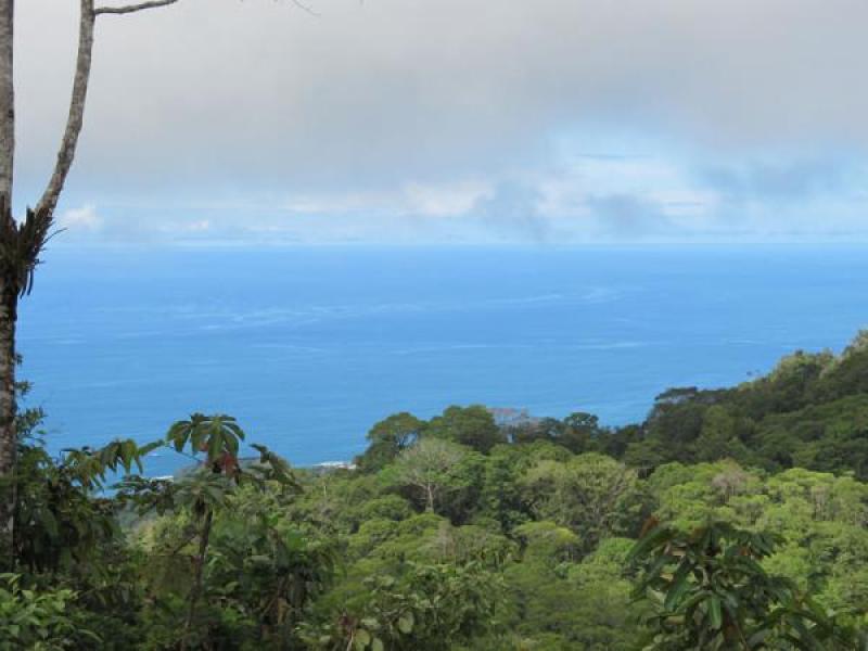 0 bed Land For Sale in Dominical, Puntarenas - thumb 1