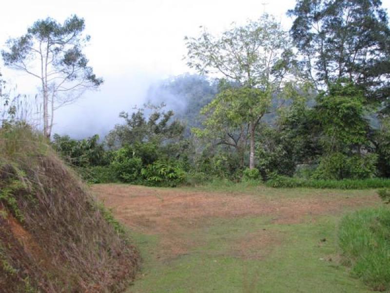 0 bed Land For Sale in Dominical, Puntarenas - thumb 3