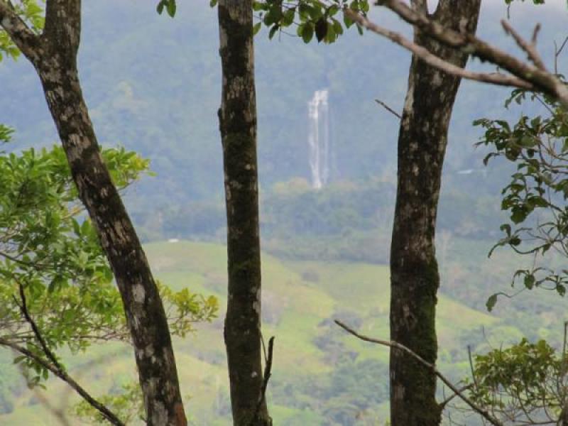 0 bed Land For Sale in Dominical, Puntarenas - thumb 5