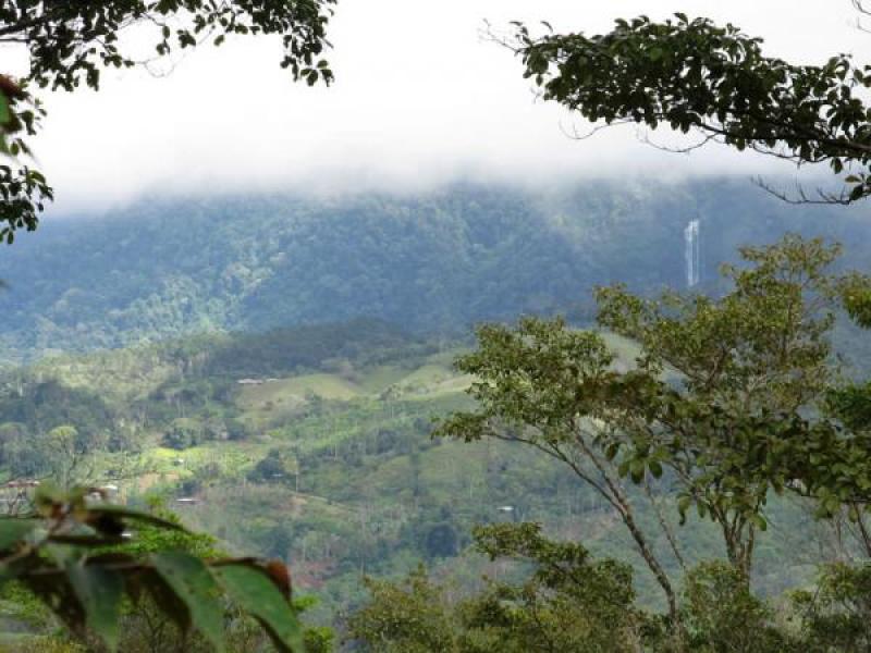 0 bed Land For Sale in Dominical, Puntarenas - thumb 6