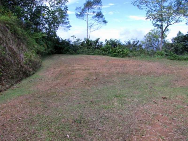 0 bed Land For Sale in Dominical, Puntarenas - thumb 7