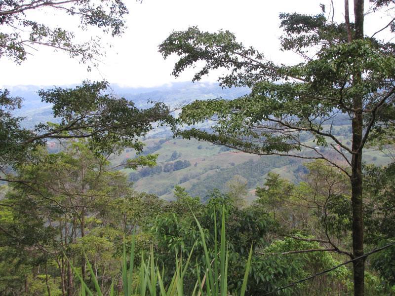 0 bed Land For Sale in Dominical, Puntarenas - thumb 10