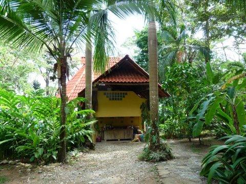 2 bed Single Family Homes For Sale in Cabo Matapalo, Puntarenas - thumb 18