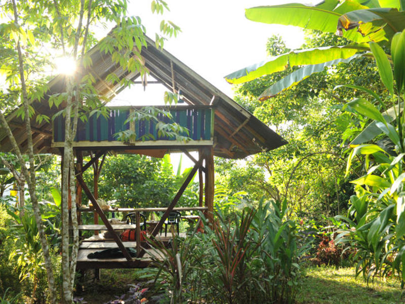 4 bed Single Family Homes For Sale in Dominical, Puntarenas - 1