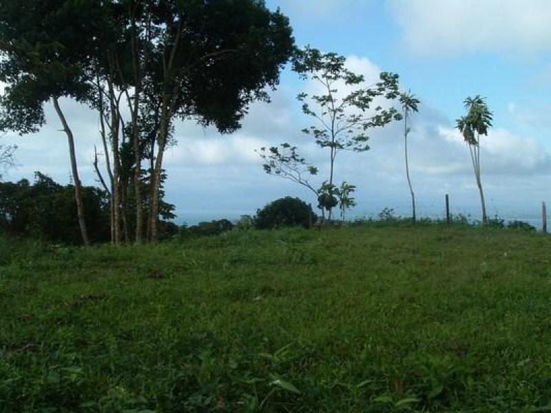 0 bed Land For Sale in Pavones, Puntarenas - 1