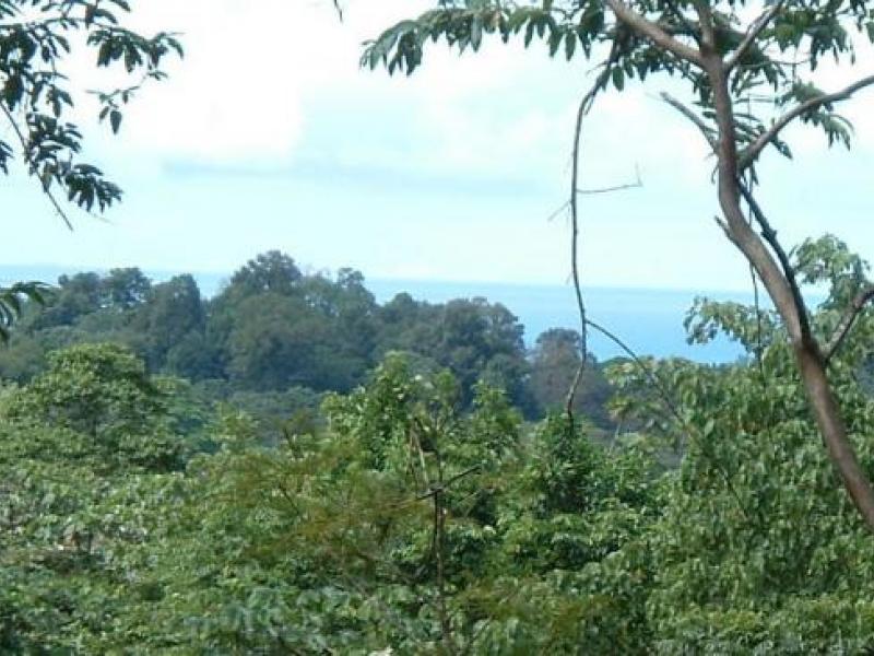 0 bed Land For Sale in Pavones, Puntarenas - 1