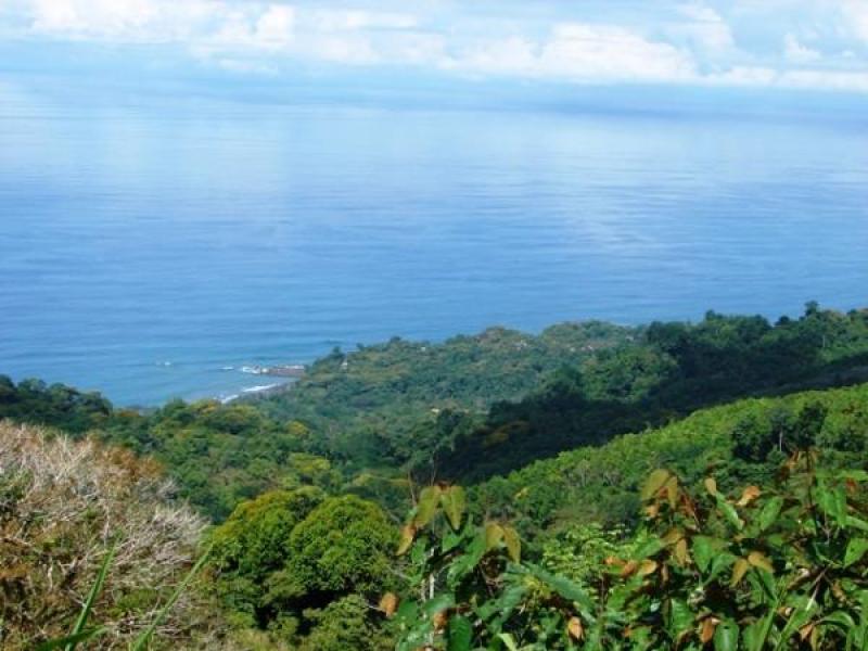 0 bed Communities For Sale in Dominical, Puntarenas - thumb 10