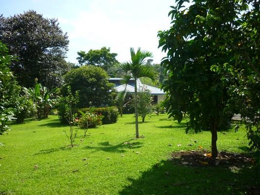 3 bed Single Family Homes For Sale in Ojochal, Puntarenas - thumb 10