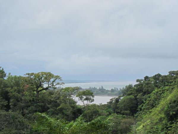 2 bed Single Family Homes For Sale in Ojochal, Puntarenas - thumb 3