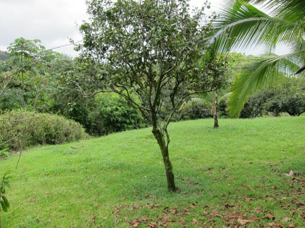 2 bed Single Family Homes For Sale in Ojochal, Puntarenas - thumb 11