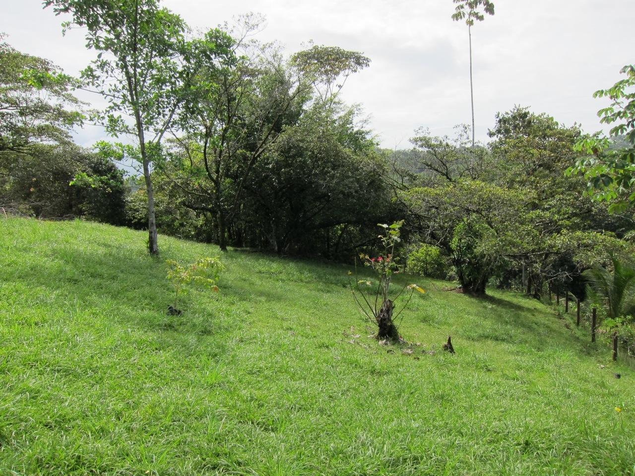 3 bed Single Family Homes For Sale in Ojochal, Puntarenas - thumb 4