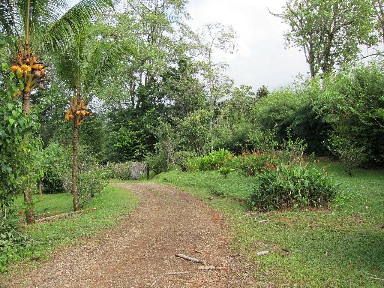 3 bed Single Family Homes For Sale in Ojochal, Puntarenas - thumb 14