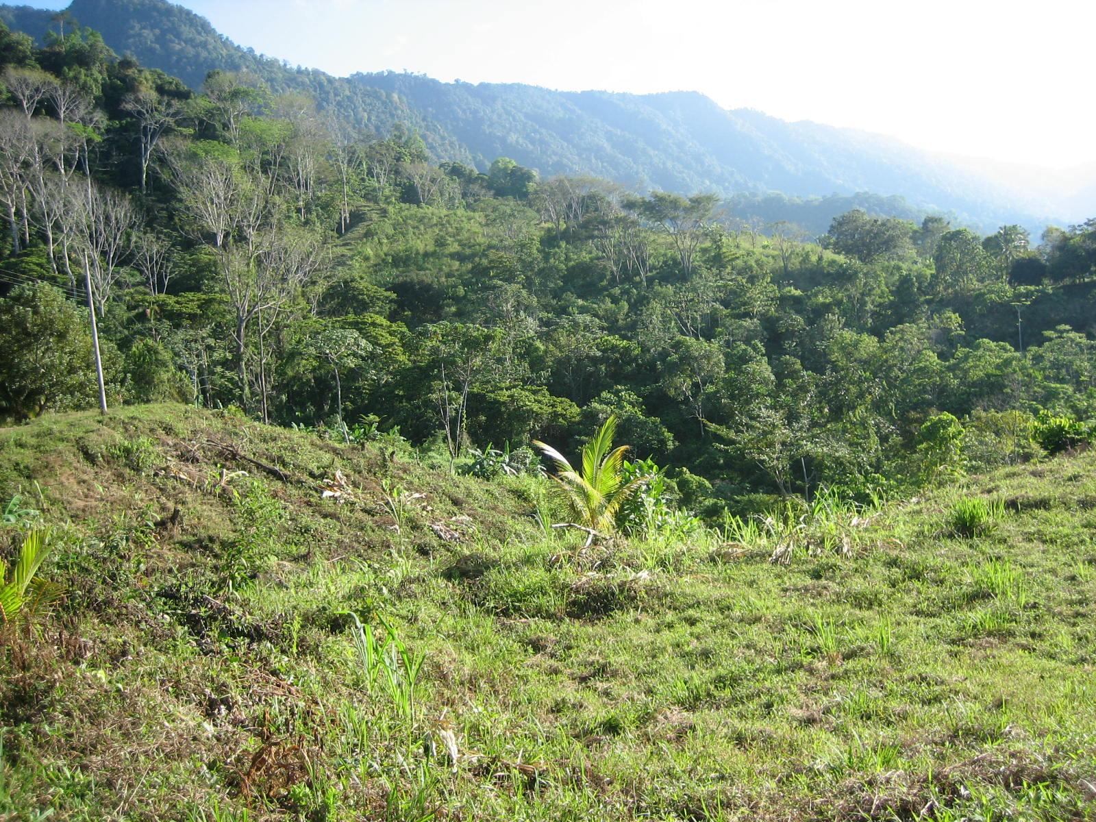 3 bed Single Family Homes For Sale in Ojochal, Puntarenas - thumb 6