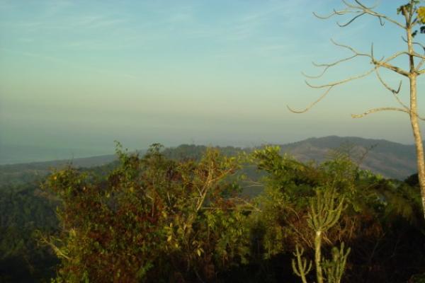 2 bed Land For Sale in Dominical, Puntarenas - thumb 2