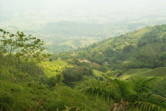 2 bed Land For Sale in Dominical, Puntarenas - thumb 6