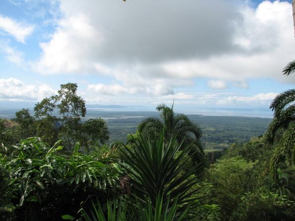 2 bed Single Family Homes For Sale in Ojochal, Puntarenas - thumb 4