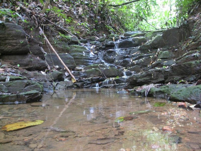 0 bed Land For Sale in Dominical, Puntarenas - 1