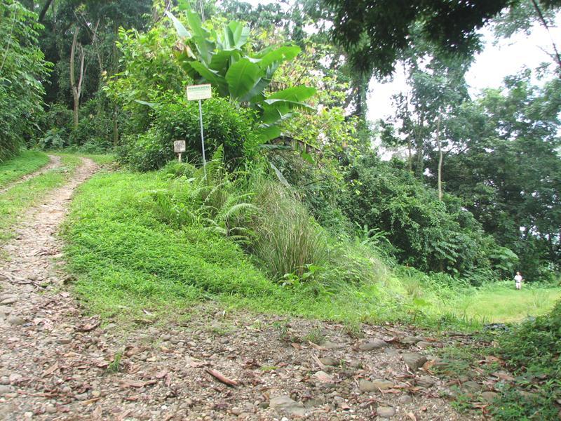 0 bed Land For Sale in Uvita, Puntarenas - 1
