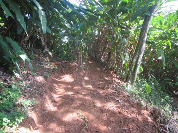 2 bed Condo For Sale in Dominical, Puntarenas - thumb 16