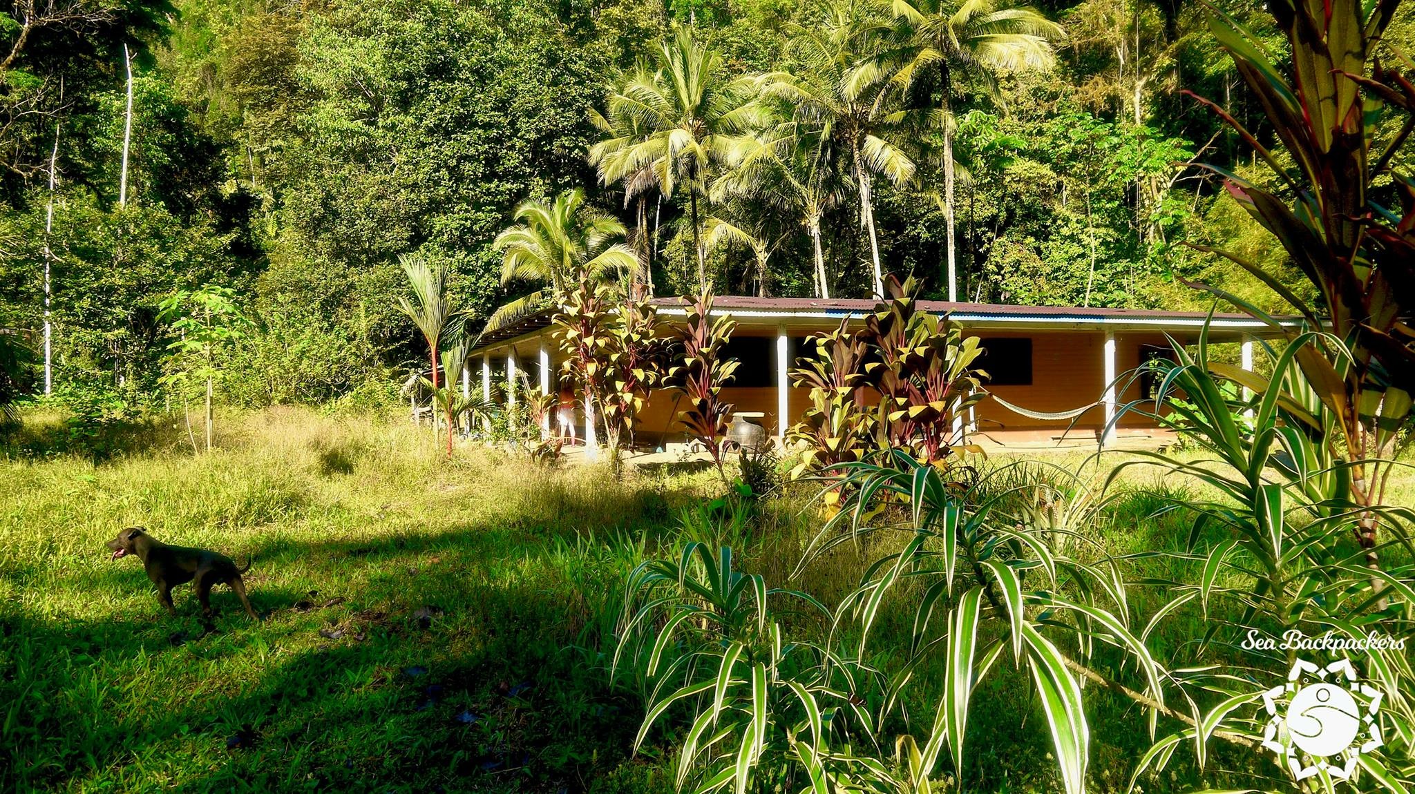 0 bed Land For Sale in Puerto Jimenez, Puntarenas - thumb 21