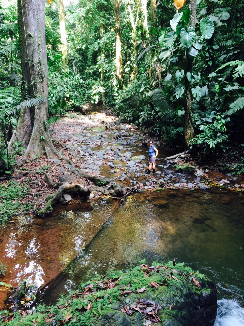 0 bed Land For Sale in Puerto Jimenez, Puntarenas - thumb 18