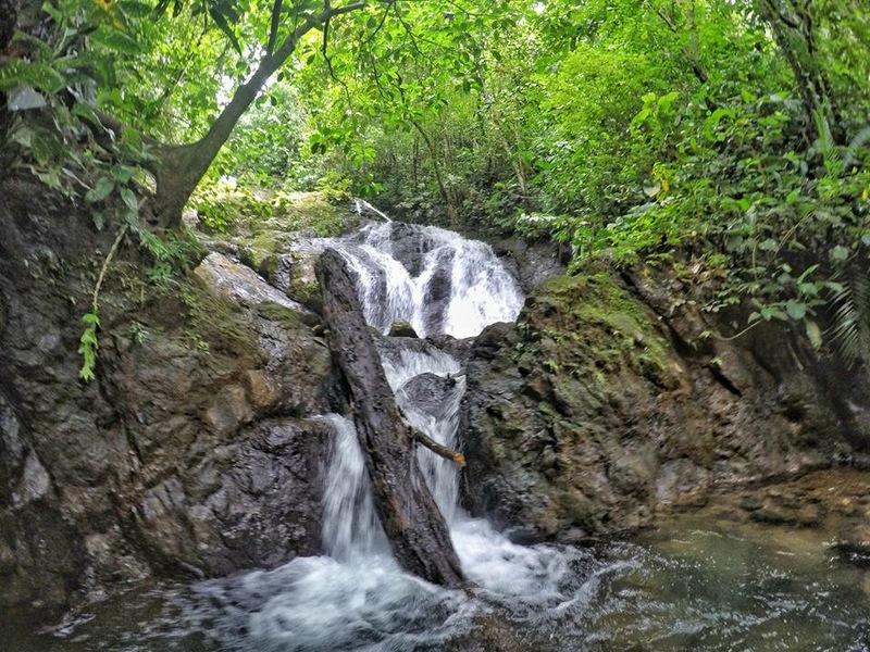 0 bed Land For Sale in Puerto Jimenez, Puntarenas - 1