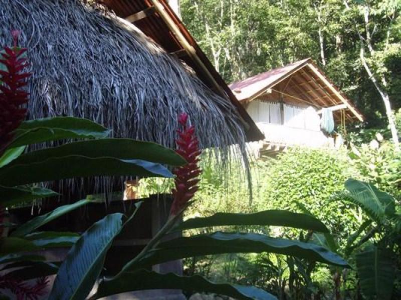 6 bed Hotel / Leisure For Sale in Cabo Matapalo, Puntarenas - 1
