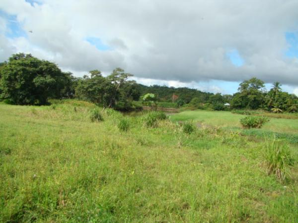 Featured property image