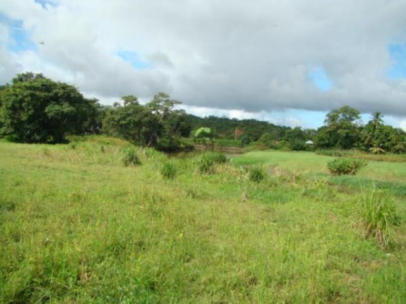 0 bed Land For Sale in Sierpe, Puntarenas - 1
